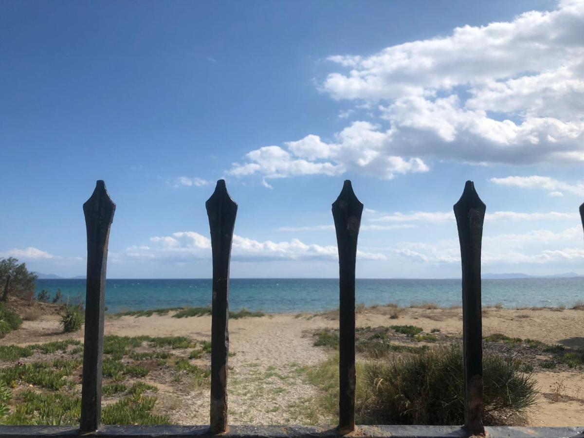 Beachfront Villa Hoopoe Schinias, Marathon エクステリア 写真